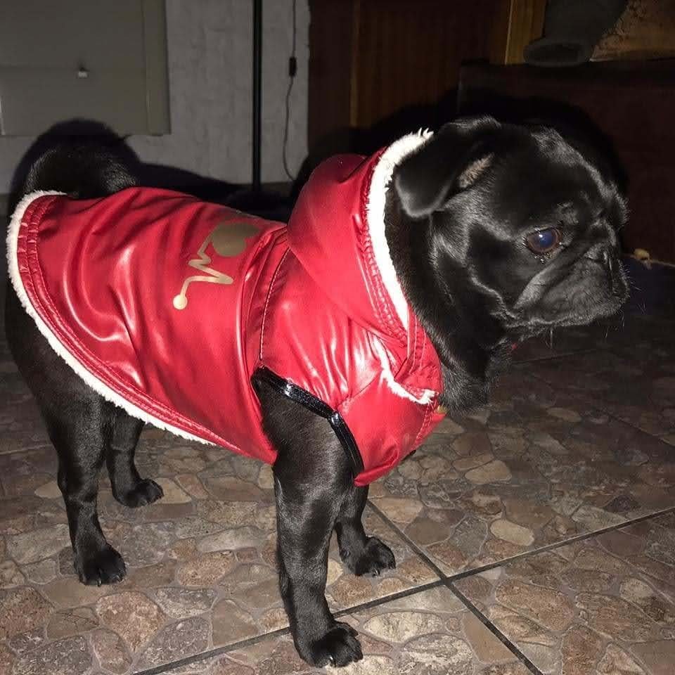 0bfea3e0-c44b-47d5-b028-a1fff1bf1a13