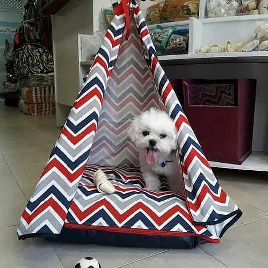 159a4f0f-aec3-480f-8da9-da5be58a0b2a