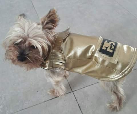 1c628f39-190e-49d3-a0e8-d74fe361f46f