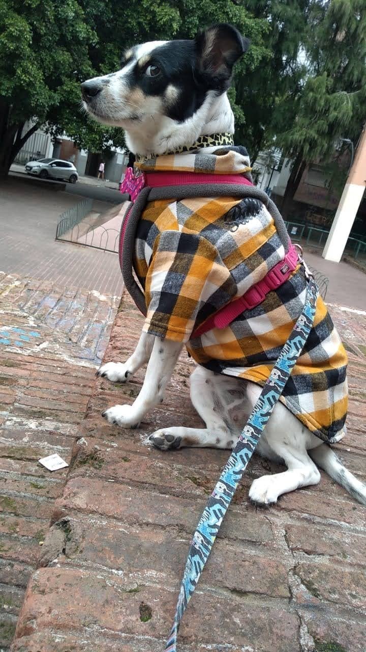 20475da0-410e-4b5e-bbdb-9bc89b0042b4