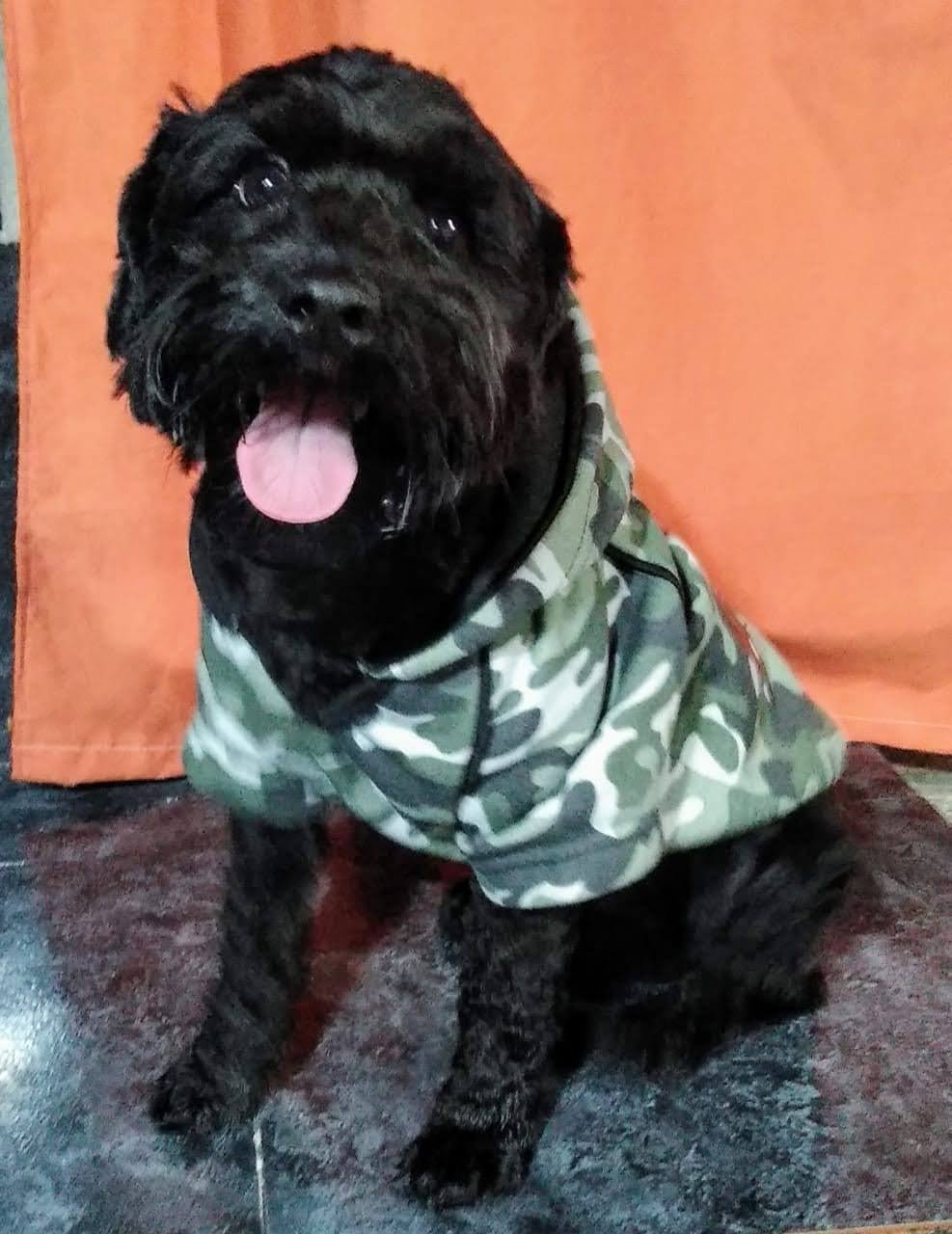 2cc6b46d-8c13-4a97-89a2-bf9159f43323