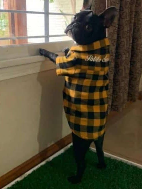 345da400-87ef-42af-9f62-5775d0601078