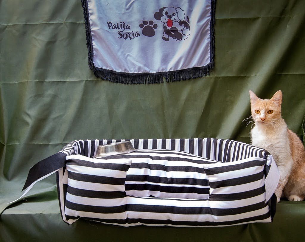 48317848-871c-4e23-8f03-8d6b8f5db6c1