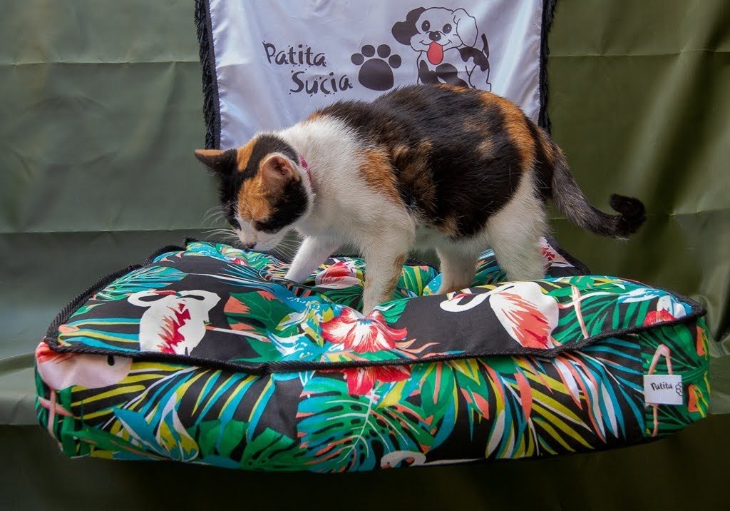 5085d6d4-d626-4651-8841-0d9d6164f01f