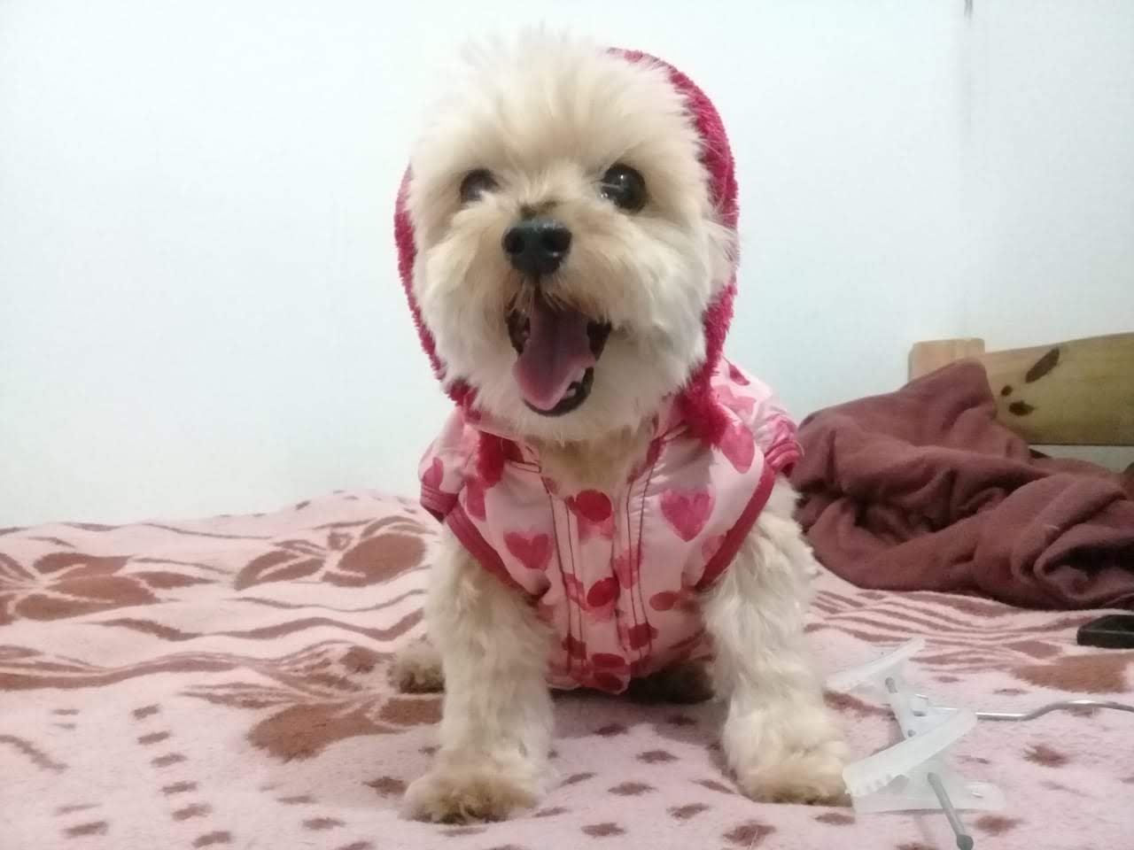 657dab7c-77f7-44fa-b03a-9379b895bd32