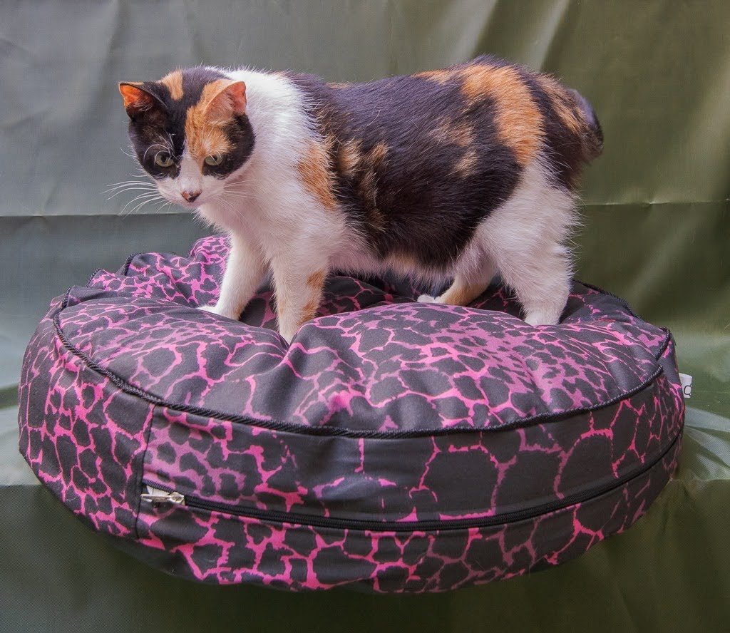 74960e14-8cc7-4c7c-9650-c5fe5d8db036