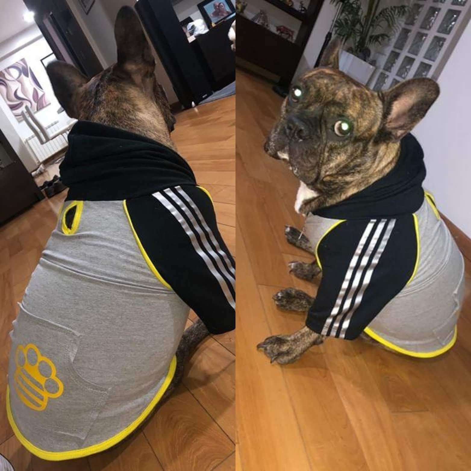 7534fa65-9080-4273-ac8b-bdc48ee02350