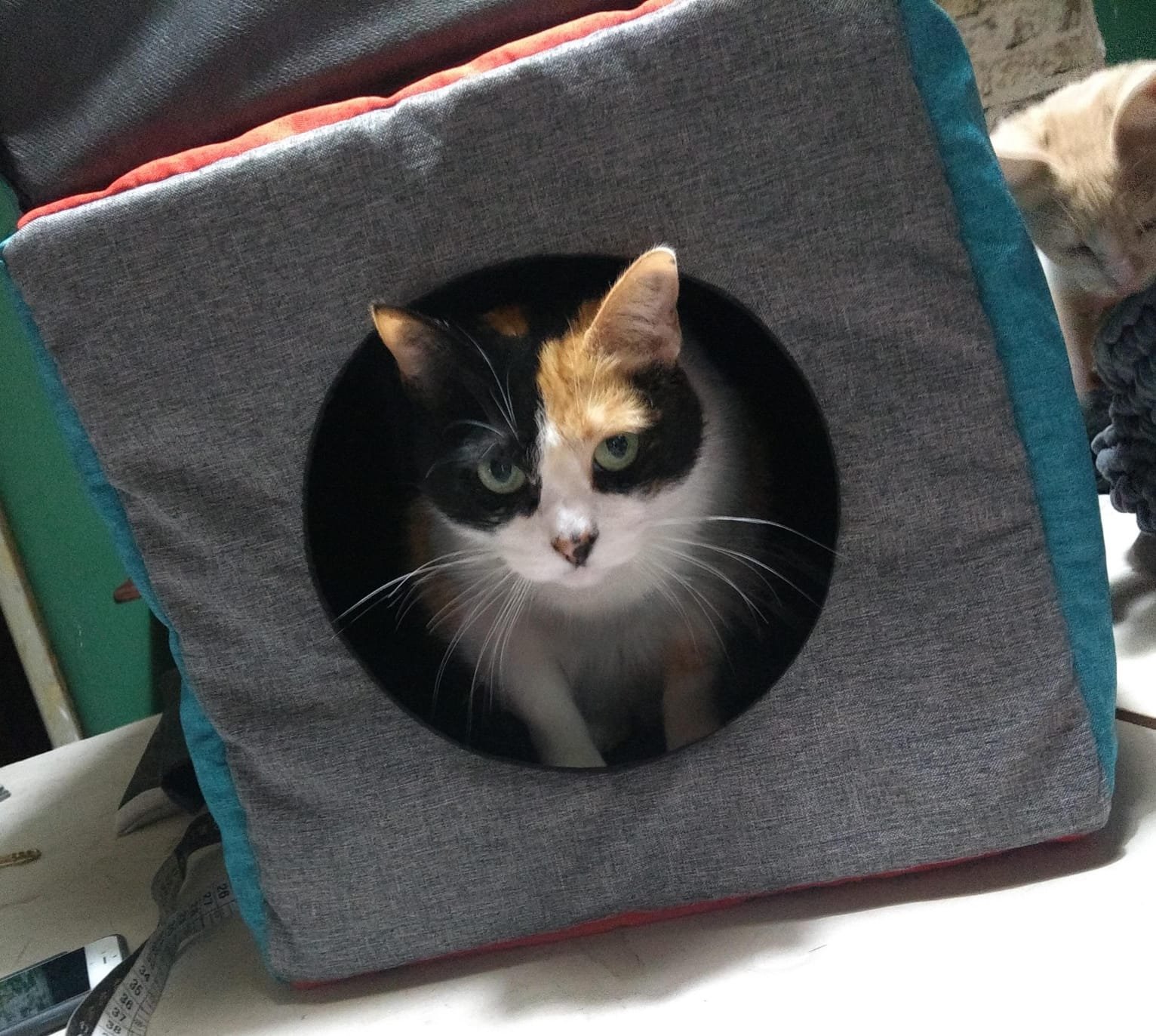 7c0d526a-9860-4d49-b0f8-5b32c8300a38