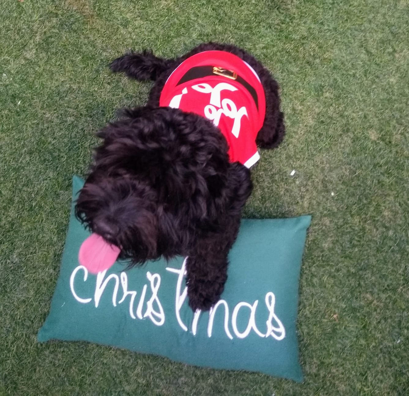 806d0cef-d265-4725-aaeb-587527430324