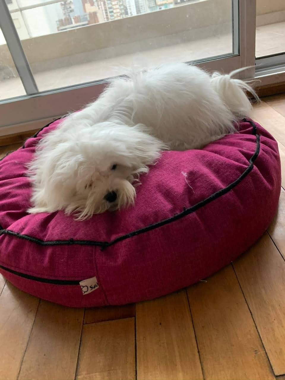 812b6189-c1bc-41b2-a5ae-62cc67b194c3