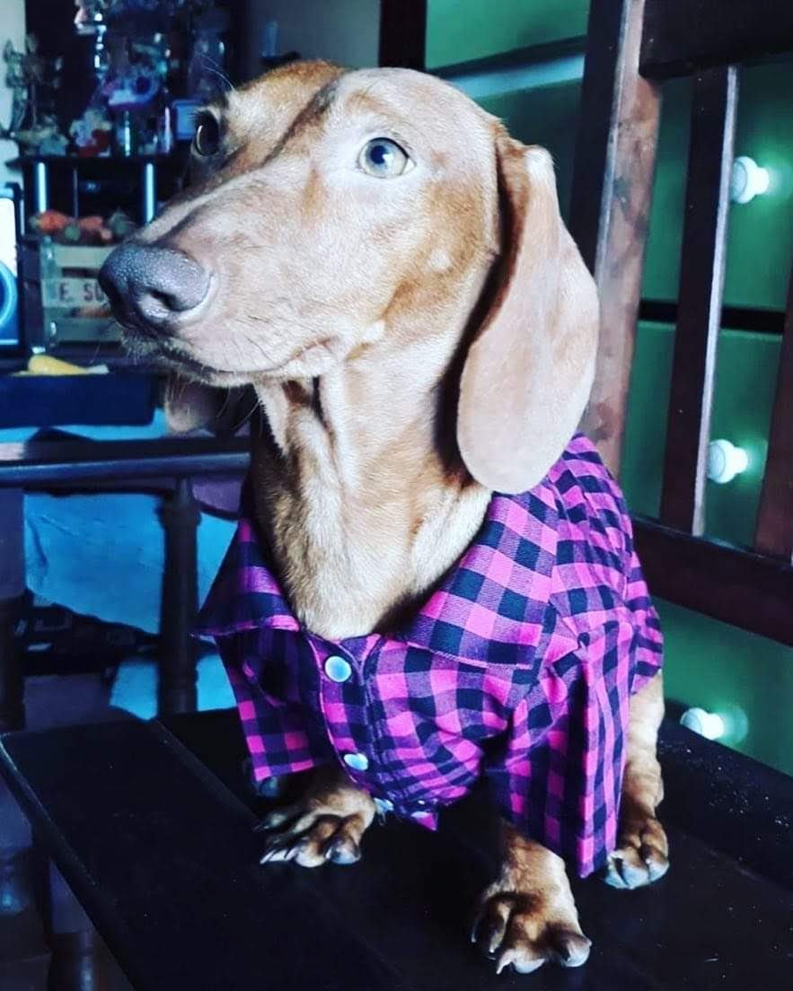 a1c3d90e-67c6-4025-a51a-e4200fb5bced