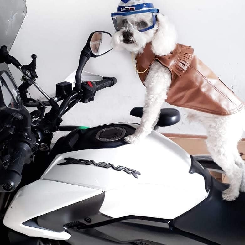 d6311501-05f3-4a52-bce5-c75303d1d82d