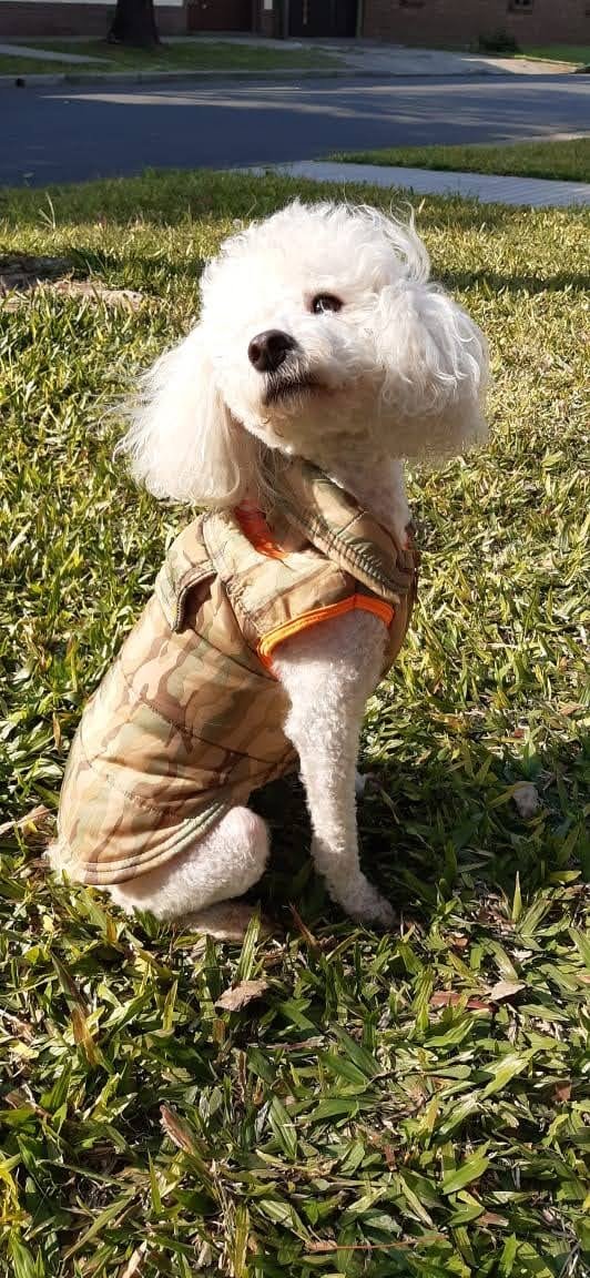 d66b3f99-f500-4ba0-9739-e5050ede802b