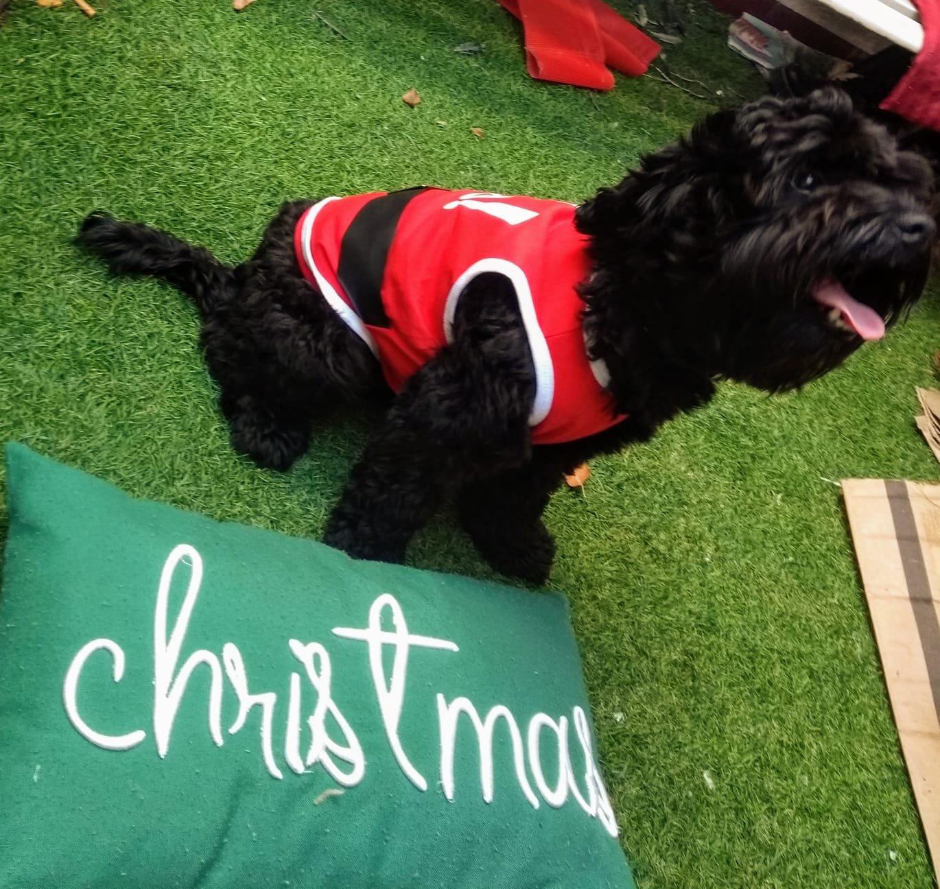 d7d8db6f-cc57-43ce-9f23-bebe61a11f64