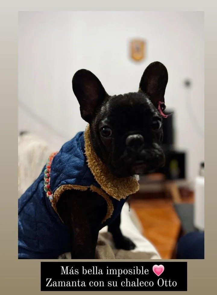 e003fb16-e1e4-4ce9-93e6-d113ab11743e